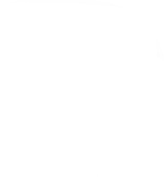 section slider vector